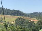 Mountaintop Flat Land for Sale – Edward's Hill, Pussellawa (EM257)
