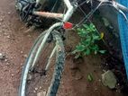 Mountain Bicycle