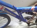 Mounten Bicycle