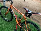 Mountain Bicycle