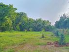 මරදන්කඩවල A9 පාර අසල ඉඩමක් විකිණීමට | Land for Sale in Maradankadawala