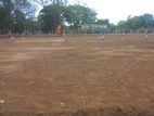 මරදන්කඩවල අවසාන සින්නක්කර බිම් කොටස විකිණීමට