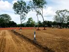 මරදන්කඩවල නගරයෙන්ම සින්නක්කර බිම්කොටස් විකිණීමට
