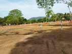 මරදන්කඩවල නගරයෙන්ම සින්නක්කර බිම්කොටස් විකිණීමට
