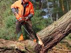 Tree Cutting Service