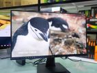 MSI Pro MP223 21.45” Inch 100Hz 1ms FHD Ultra Slim Frameless Monitor