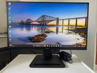 Msi Pro MP251 100Hz Ips Monitor