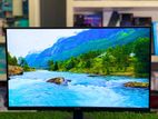 MSI Pro MP251L Monitor