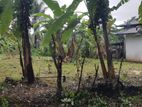 මතුගම නගරයට ලඟින් වටිනා බිම් කොටසක් විකිණීමට / SA 13915