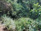 Land for Sale in Bandarawela