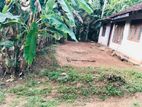 Land for Sale - Wathupitiwela