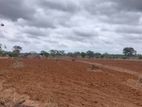 Land for Sale අනුරාධපුර