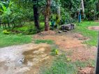 Land for sale in Dikwella