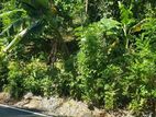 Land for Sale කඩුගන්නාව
