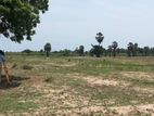 Mullaitivu Agricultural Land for sale