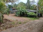 Mulleriyawa, Himbutana 16P Land for Sale near Pinthaliya. Angoda.