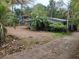 Mulleriyawa, Himbutana 16P Land for Sale near Pinthaliya. Angoda.