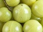 முழு நெல்லி