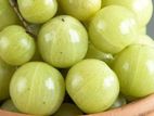 முழுநெல்லி