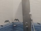 Multifunctional shower