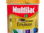 Multilac Paint 4L