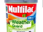 Multilac Weather Guard Paint