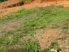 Land for Sale in Wadduwa