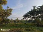 Munessarama Land for Sale