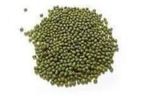 Mung Bean