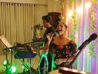 Music Band (1Man/2 or 3pcs)