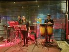Music Band for Party