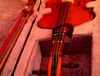Violin