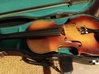 Violin