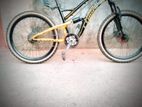 Mountain Bicycle