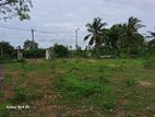 Land for Sale in Nallur