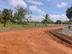 නාච්චාදූව නගරයෙන්ම නේවාසික කලාපයෙන් අගනා බිමකොටස්