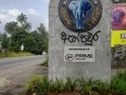 නාකලගමුව අදිවේගි පිවිසුමට ලගින් සුපිරි ඉඩමක්