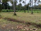 නාරම්මල ඉඩමක්