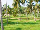 නාරම්මල ඉඩමක් විකිණීමට