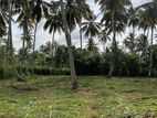 නාරම්මල ඉඩමක් විකිණීමට
