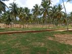 නාරම්මල Land for Sale