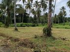 නාරම්මල මැටියගනේ ඉඩමක් විකිණීමට