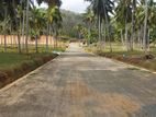 නාරම්මල නේවාසික බිම් කොටස්