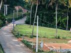 නාරම්මල නේවාසික බිම් කොටස්