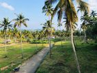 නාරම්මල නේවාසික බිම් කොටස්