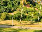 නාරම්මල නේවාසික බිම් කොටස්
