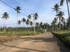 නාරම්මල නේවාසික බිම් කොටස්