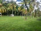 නාරම්මල නේවාසික බිම් කොටස් විකිණීමට