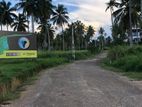 නාරම්මල නේවාසික බිම් කොටස් විකිණීමට