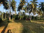 නාරම්මල නේවාසික බිම් කොටස් විකිණීමට